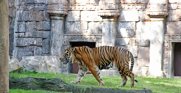 Bioparc Fuengirola