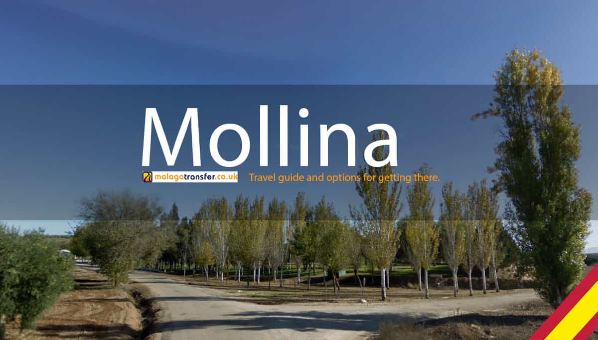 visiting Mollina