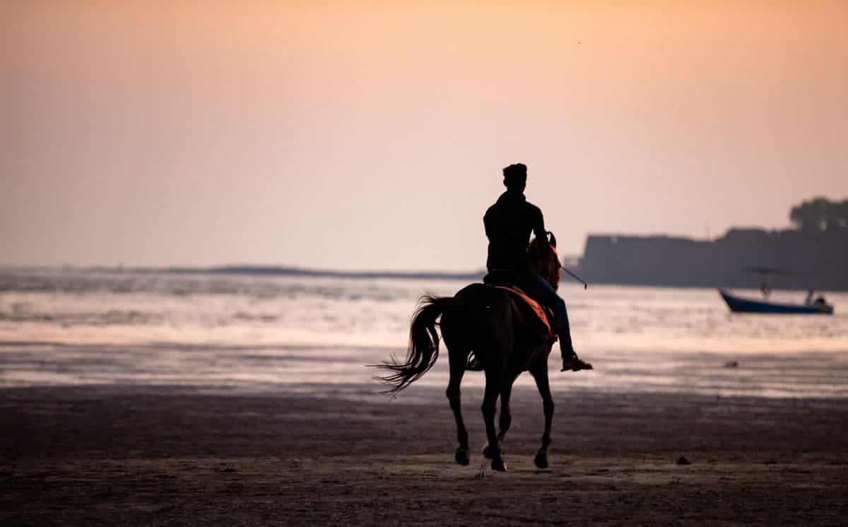Paseo a caballo en la Playa de Matalascañas