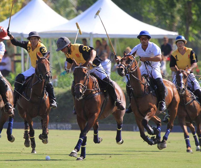 polo in Sotogrande