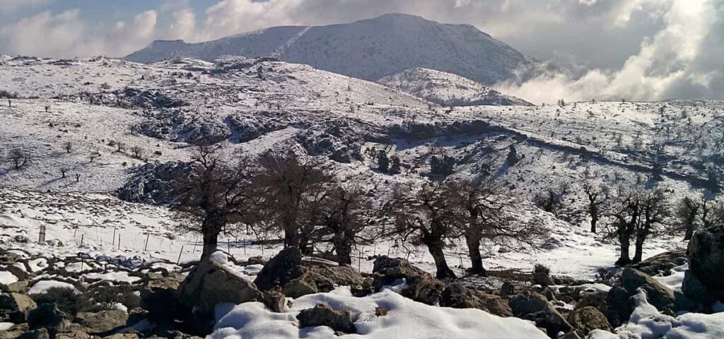 Sierra de las Nieves in Málaga