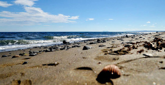 Estepona