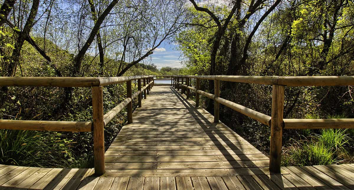 Parque de Doñana