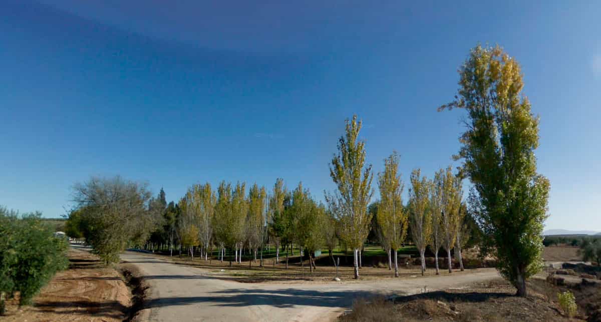 Area del Parque Santillán