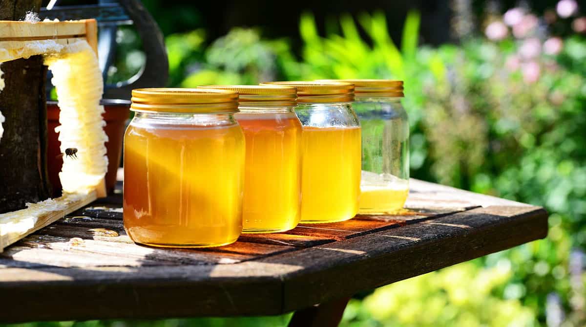 Honey Museum