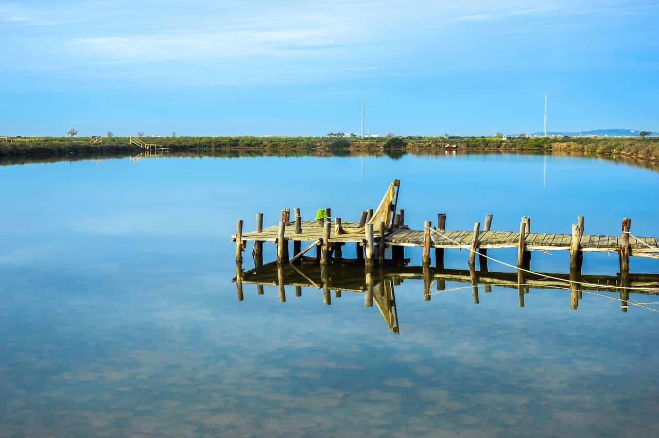 Naturaleza en Chiclana