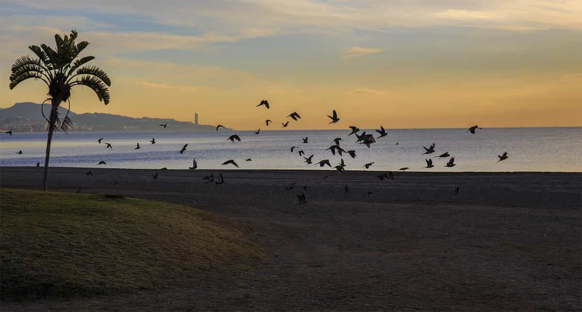 Playa en Málaga en invierno