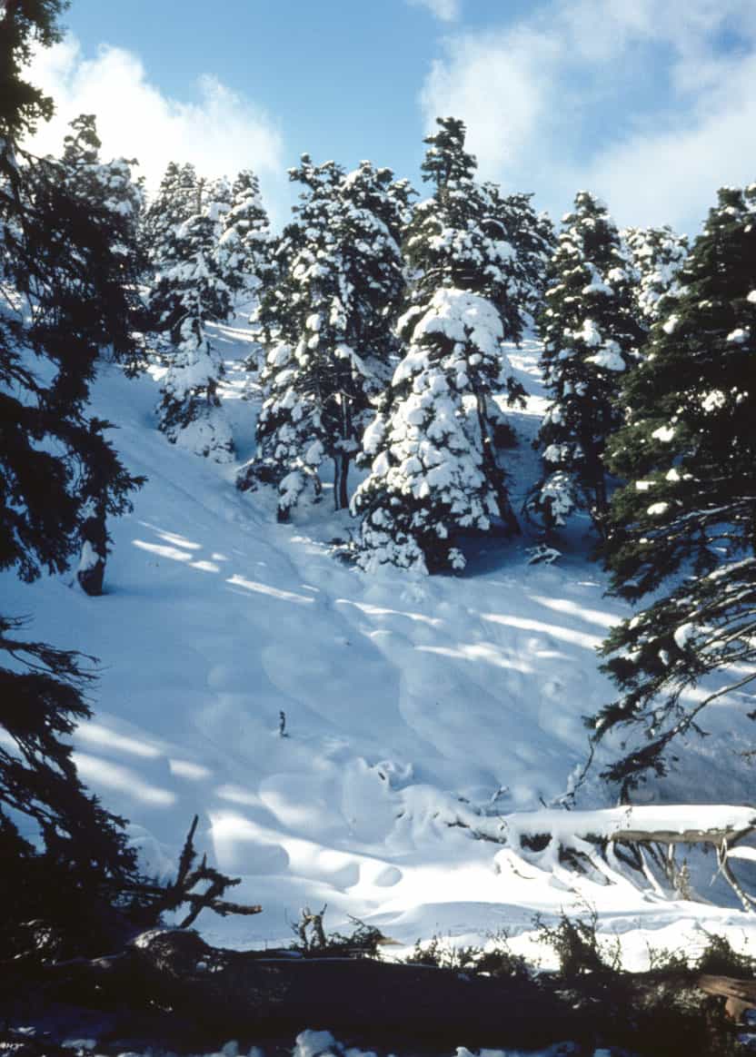 Sierra de las Nieves nevada