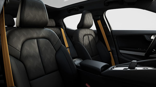 Polestar 2: 4 passengers / 3 luggages / Golf equipment on request